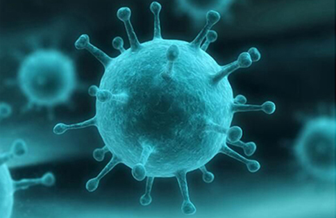 Rapid Diagnosis System of Respiratory Infection